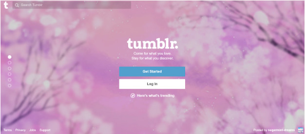 Example of Tumblr goal oriented design