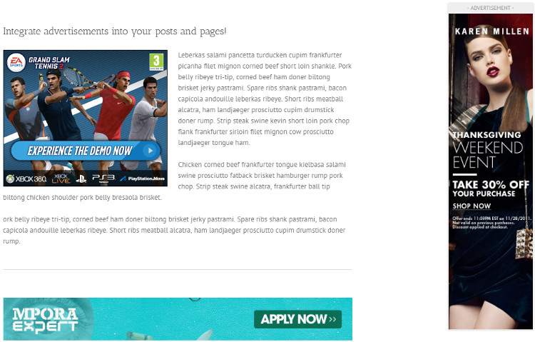 WP PRO Advertising System WordPress Plugin WP PRO Advertising System WordPress Plugin