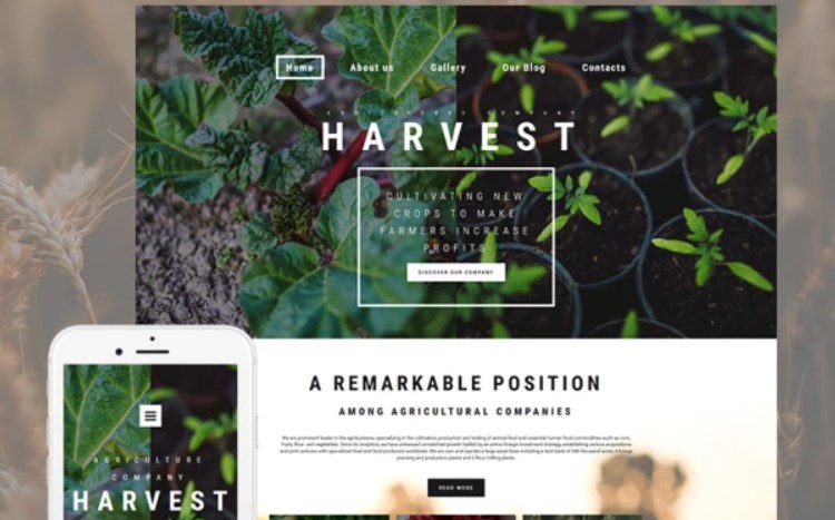 Best Responsive Website Template for Crop Farming