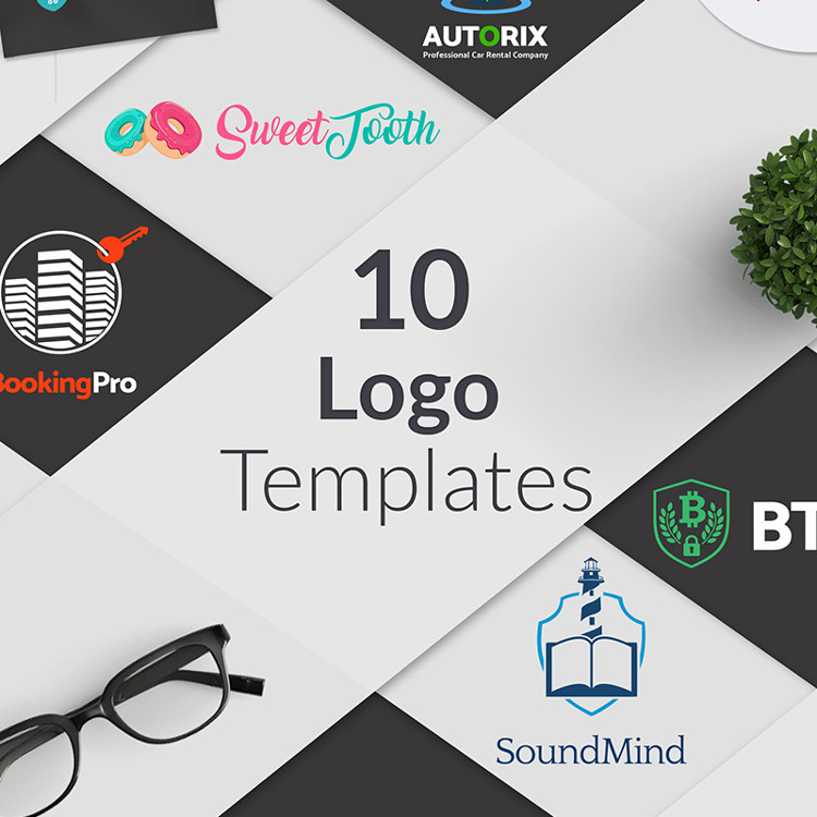 Bundle of 10 Professional Layouts of Ready-to-Use Niche Business Logo Template