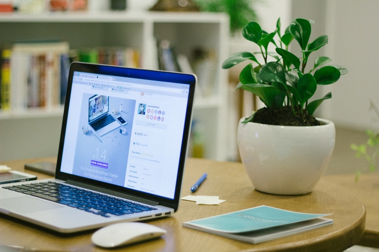 Education based websites